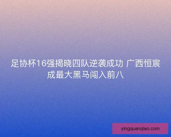 足协杯16强揭晓四队逆袭成功 广西恒宸成最大黑马闯入前八